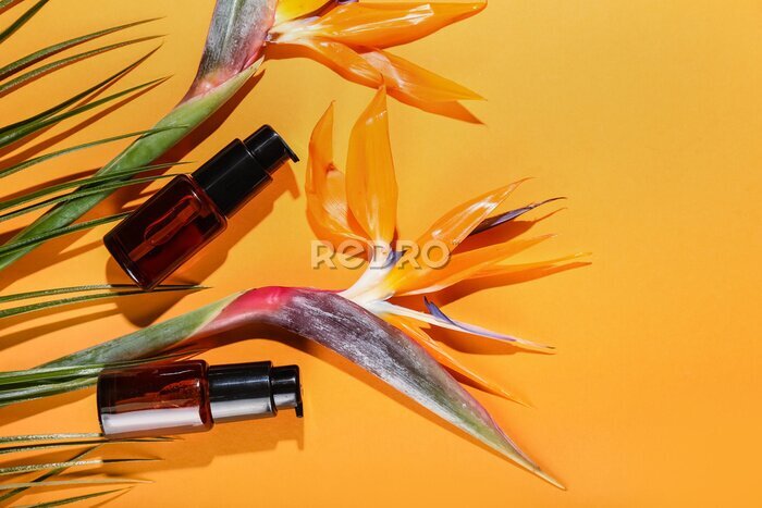 Papier peint  Bottles of cosmetic product, strelitzia flowers and palm leaf on color background