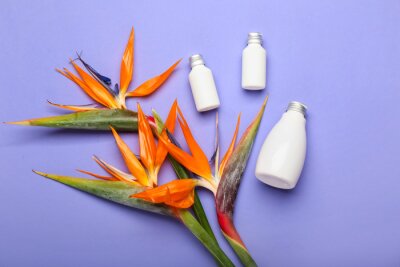 Papier peint  Bottles of cosmetic products and beautiful strelitzia flowers on lilac background