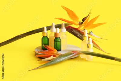 Papier peint  Bottles of cosmetic products and beautiful strelitzia flowers on yellow background