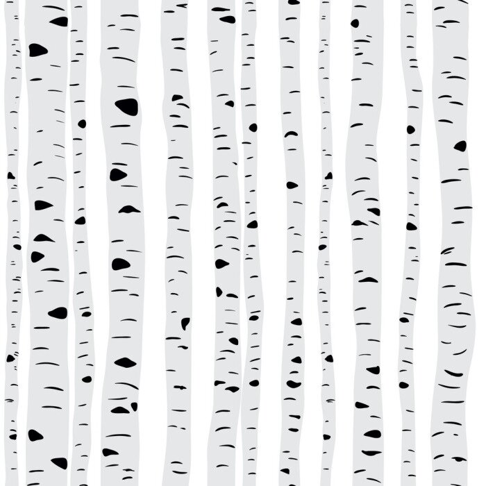 Papier peint  Bouleaux élancés sur fond clair