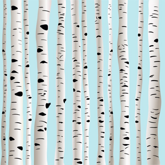 Papier peint  Bouleaux en 3D sur fond bleu