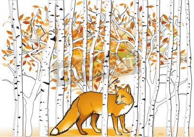 Papier peint  Bouleaux et renard roux