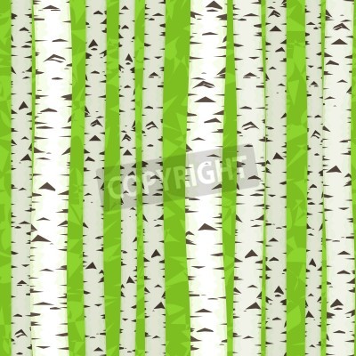 Papier peint  Bouleaux graphiques sur un fond vert