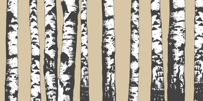 Papier peint  Bouleaux sur fond beige