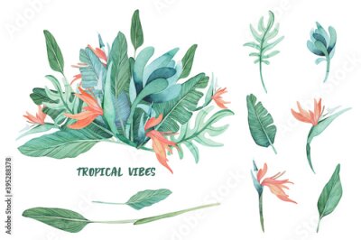 Papier peint  Bouquet and clipart of tropical flowers and leaves. Hand drawn Birds flowers,  botany set for graphic design