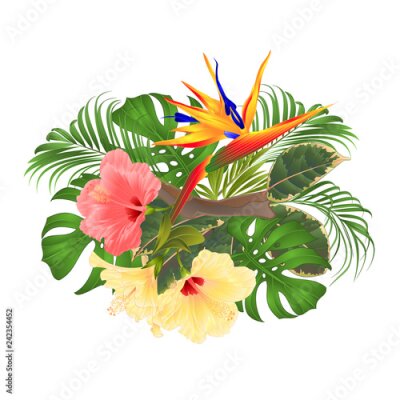 Papier peint  Bouquet avec arrangement floral de fleurs tropicales avec bel hibiscus rose et jaune et Strelitzia palm, philodendron et ficus illustration vectorielle vintage main modifiable dessiner