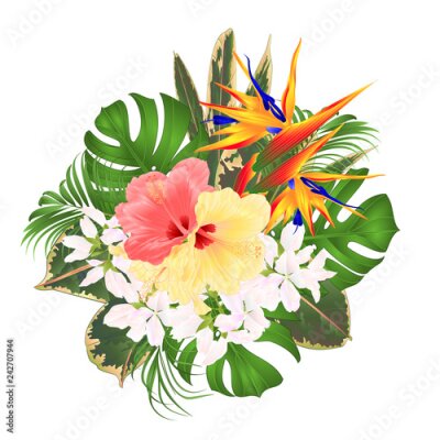 Papier peint  Bouquet avec arrangement floral de fleurs tropicales avec belle Strelitzia et palmier d'hibiscus rose et jaune, philodendron et ficus illustration vectorielle vintage main modifiable dessiner