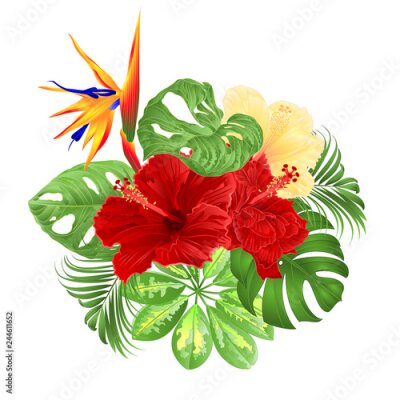 Papier peint  Bouquet avec arrangement floral de fleurs tropicales avec Strelitzia et palmier d'hibiscus rouge et jaune, philodendron et Schefflera et Monstera illustration vectorielle vintage main modifiable dessi