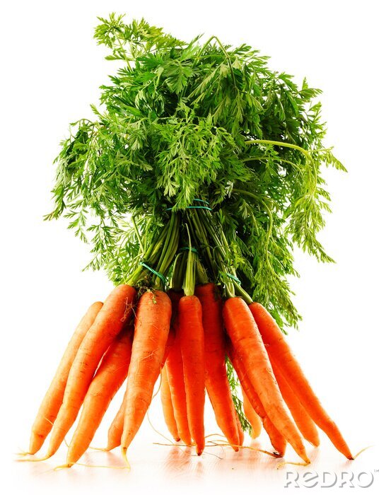 Papier peint  Bouquet de carottes