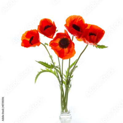 Papier peint  Bouquet de coquelicots dans un vase