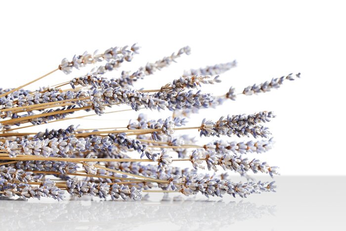 Papier peint  Bouquet de fleurs séchées