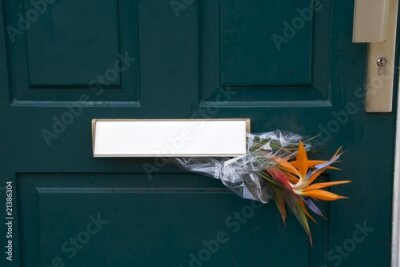 Papier peint  Bouquet de fleurs Strelitzia dans une boîte aux lettres