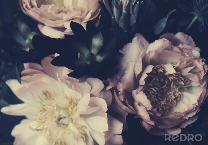 Papier peint  Bouquet de pivoines en gros plan style rétro Style