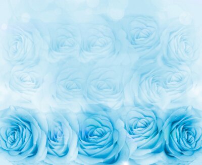Papier peint  Bouquet de roses bleu clair