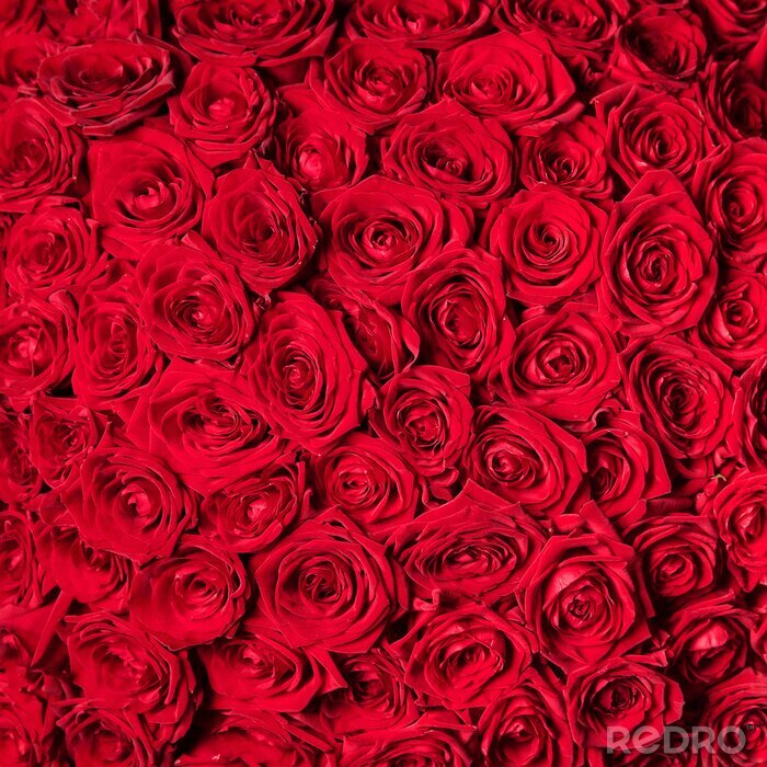 Papier peint  Bouquet de roses rouges