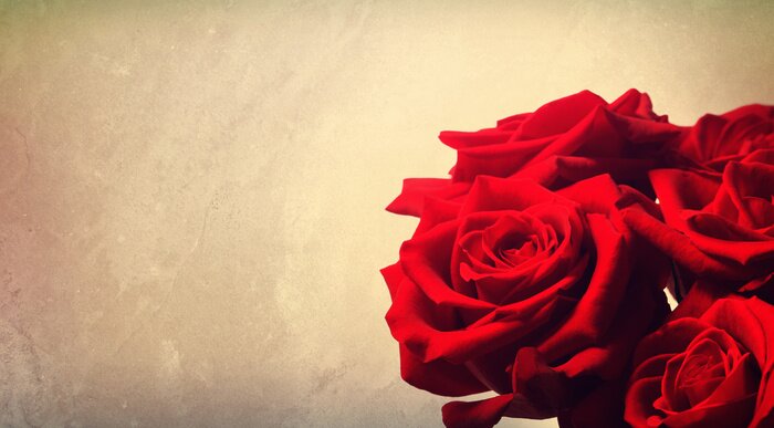 Papier peint  Bouquet de roses sur fond sombre