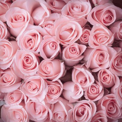 Papier peint  Bouquet de roses tonalité rose