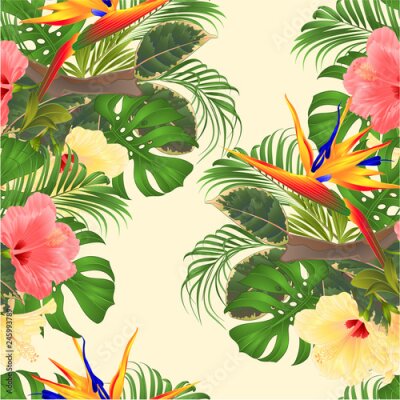 Papier peint  Bouquet de texture transparente avec arrangement floral de fleurs tropicales avec beaux hibiscus rose et jaune et Strelitzia palm, philodendron et ficus illustration vectorielle vintage main modifiabl