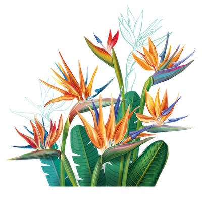 Papier peint  Bouquet floral avec des fleurs de strelitzia