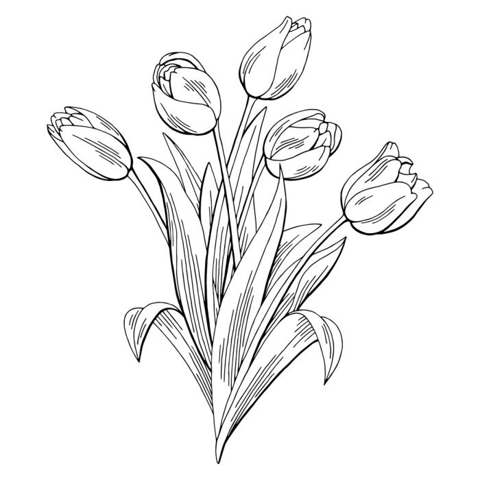Papier peint  Bouquet minimaliste de tulipes blanches