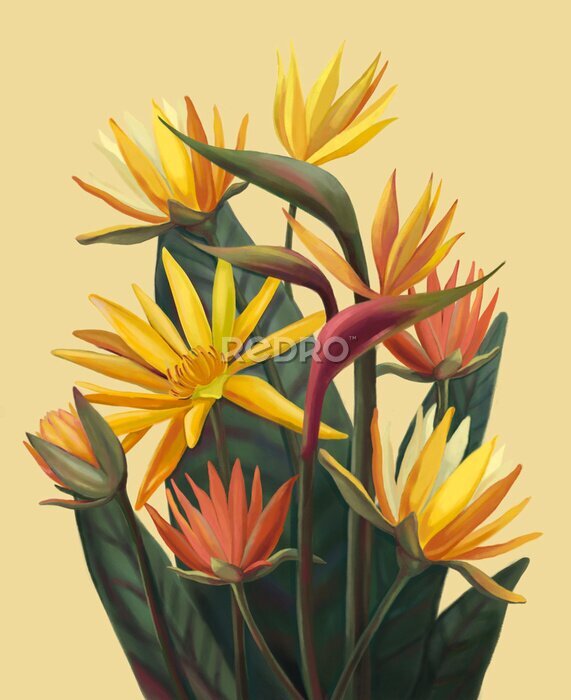 Papier peint  Bouquet of Strelitzia Reginae, bird of paradise flower. Tropical flowers on a yellow background. For collage, poster, t-shirt print.