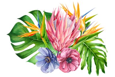 Papier peint  bouquet of tropical flowers, watercolor painting, hand drawing, strelitzia,  protea, blue and pink anemone, leaves of palms, monstera