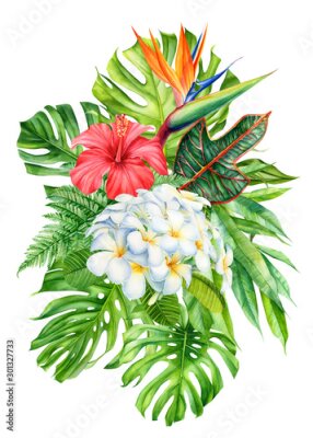 Papier peint  bouquet of tropical leaves and flowers on an isolated background, watercolor, painting, botanical illustration, floral design, plumeria, hibiscus, strelitzia, palms, monstera, fern