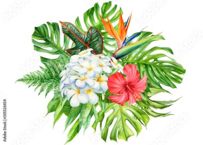 Papier peint  bouquet of tropical leaves and flowers on an isolated background, watercolor, painting, botanical illustration, floral design, plumeria, hibiscus, strelitzia, palms, monstera, fern