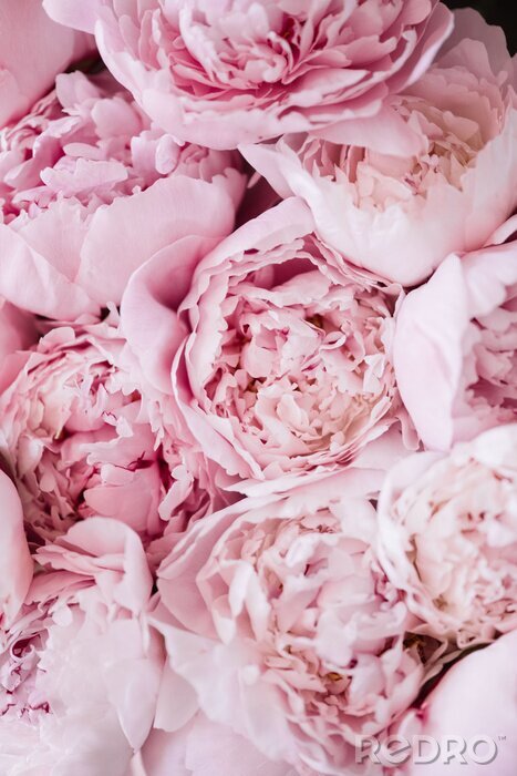 Papier peint  Bouquet pivoines roses