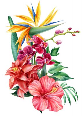Papier peint  Bouquet tropical flowers on isolated background, watercolor illustration. Strelitzia, hibiscus, orchid, palm leaves
