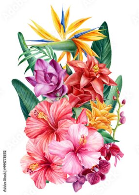 Papier peint  Bouquet tropical flowers, watercolor illustration. Strelitzia, hibiscus, orchid, turmeric, palm leaves