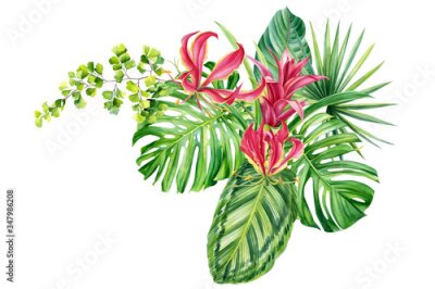 Papier peint  bouquet, tropical plants, palm leaves, monstera, calathea, strelitzia, fern, lilies, bromeliad, hibiscus flowers on white background