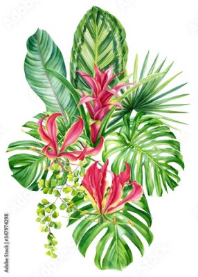 Papier peint  bouquet, tropical plants, palm leaves, monstera, calathea, strelitzia, fern, lilies, bromeliad, hibiscus flowers on white background