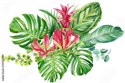 Papier peint  bouquet, tropical plants, palm leaves, monstera, calathea, strelitzia, fern, lilies, bromeliad, hibiscus flowers on white background