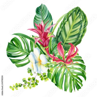 Papier peint  bouquet, tropical plants, palm leaves, monstera, calathea, strelitzia, fern, lilies, bromeliad, hibiscus flowers on white background