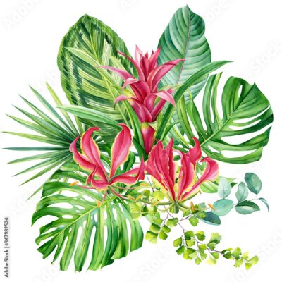 Papier peint  bouquet, tropical plants, palm leaves, monstera, calathea, strelitzia, fern, lilies, bromeliad, hibiscus flowers on white background