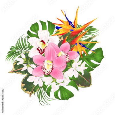 Papier peint  Bouquet with tropical flowers  floral arrangement with beautiful Strelitzia  and white and pink orchids Cymbidium  palm,philodendron and ficus vintage vector illustration  editable hand draw