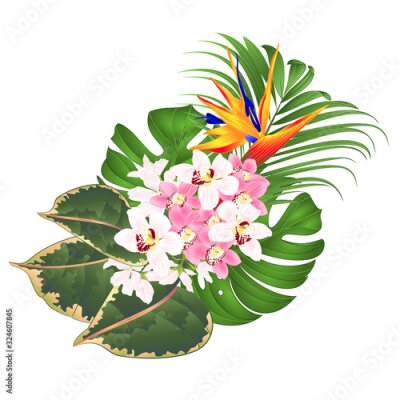 Papier peint  Bouquet with tropical flowers  floral arrangement with beautiful Strelitzia  and white and pink orchids Cymbidium  palm,philodendron  ficus watercolor vintage vector illustration  editable hand draw