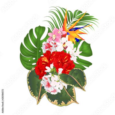 Papier peint  Bouquet with tropical flowers  floral arrangement with beautiful Strelitzia  and white and red hibiscus and orchids Cymbidium  palm,philodendron  ficus vintage vector illustration  editable hand draw