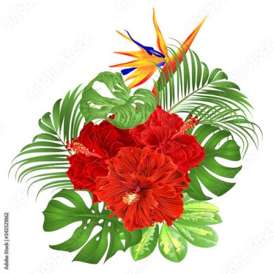 Papier peint  Bouquet with tropical flowers  floral arrangement with  Strelitzia and  full red hibiscus   palm,philodendron and Schefflera and Monstera  vintage vector illustration  editable hand draw