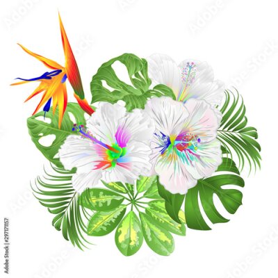 Papier peint  Bouquet with tropical flowers  floral arrangement with  Strelitzia and Multi colored hibiscus   palm,philodendron and Schefflera and Monstera  vintage vector illustration  editable hand draw