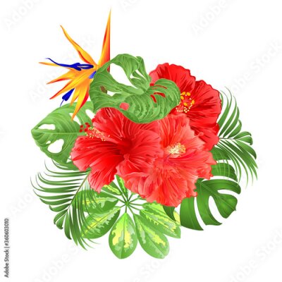 Papier peint  Bouquet with tropical flowers  floral arrangement with  Strelitzia and pink hibiscus   palm,philodendron and Schefflera and Monstera watercolor vintage vector illustration  editable hand draw