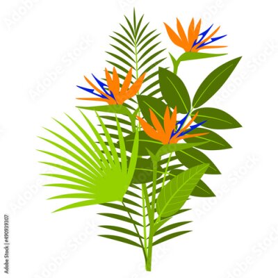 Papier peint  Bouquet with tropical palm leaves and strelitzia flowers isolated on white - bunch of tropic exotic plants for summer natural design