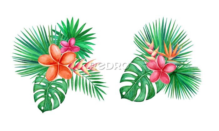 Papier peint  Bouquet with tropical plumeria, heliconia, strelitzia flowers, tropical leaves, and floral elements on white background.  Watercolor hand drawn illustration.