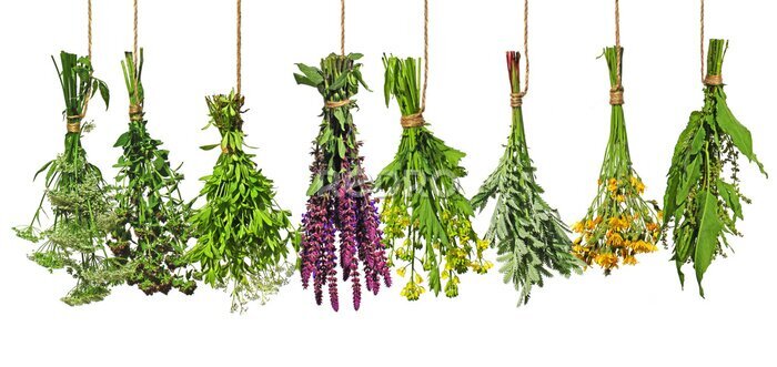 Papier peint  Bouquets colorés d&#39;herbes fraîches sur fond blanc