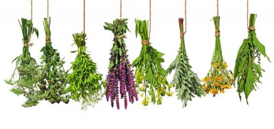 Papier peint  Bouquets colorés d'herbes fraîches sur fond blanc