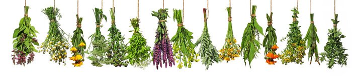 Papier peint  Bouquets d'herbes fraîches colorées sur fond blanc