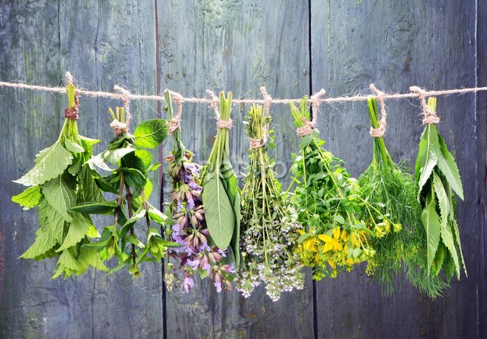 Papier peint  Bouquets d&#39;herbes sur fond de bois