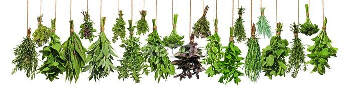 Papier peint  Bouquets d&#39;herbes suspendus sur fond blanc