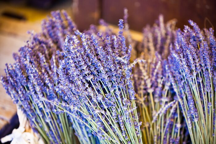 Papier peint  Bouquets de lavande séchée